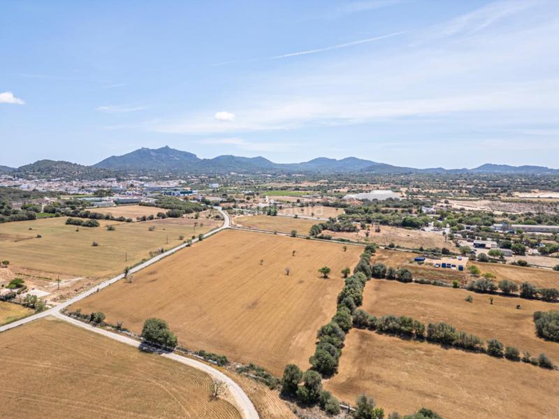 Foto a205778b-825e-43bd-bc04-4f4caceffa5a. Rural plot in Felanitx poble Felanitx