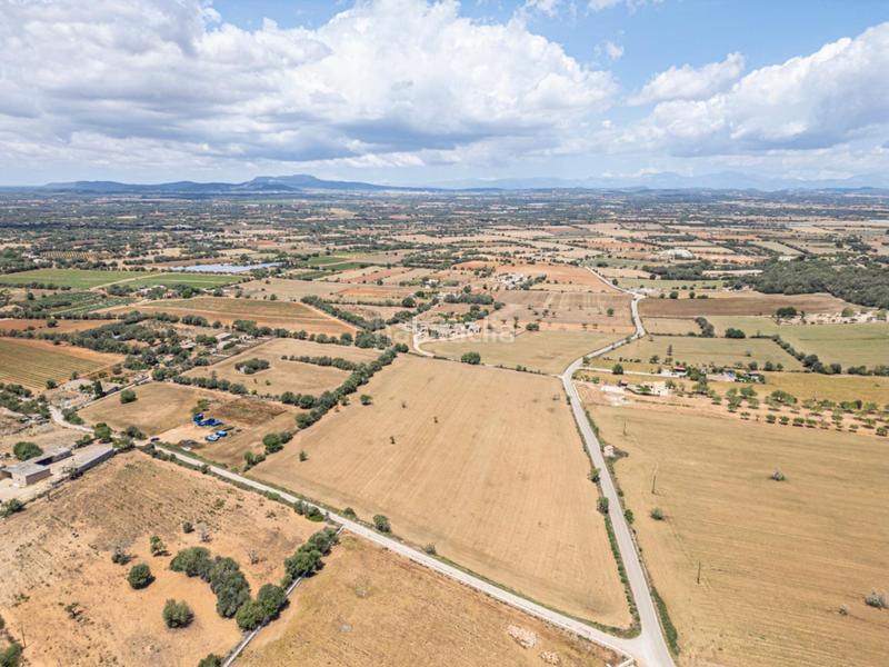Foto a52a7225-8105-46d9-a11b-833729aaf83e. Rural plot in Felanitx poble Felanitx