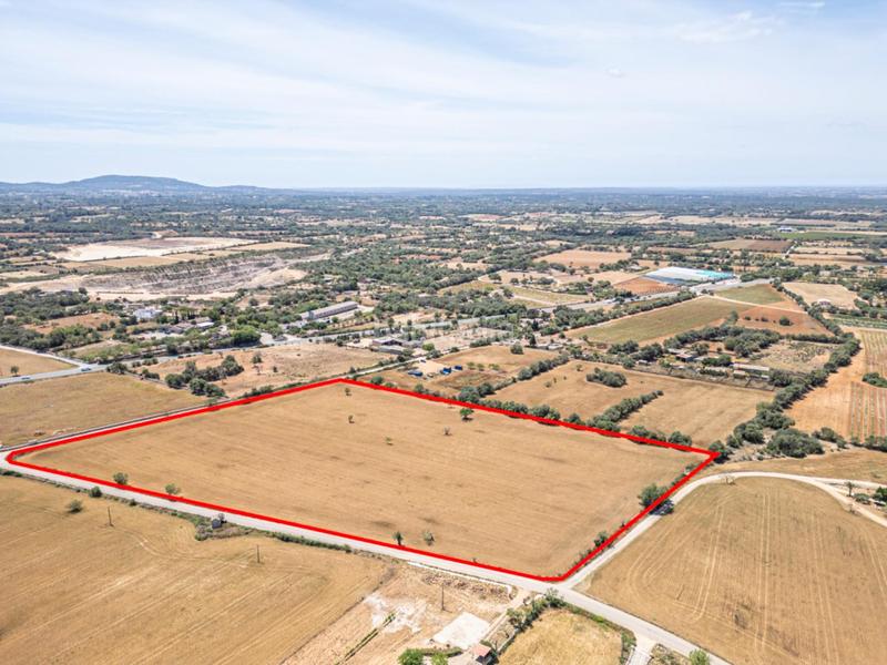 Foto a5879b0b-5455-4072-8895-1d1b69c4f3c5. Rural plot in Felanitx poble Felanitx