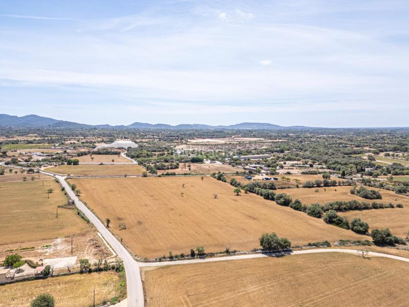 Foto b36f6126-f0b8-4958-b7be-7cd1b585fd9e. Rural plot in Felanitx poble Felanitx