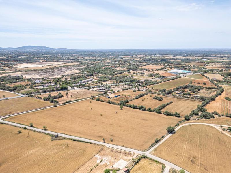 Foto bc78cc11-6ea4-4b4d-9779-556a5160354a. Rural plot in Felanitx poble Felanitx