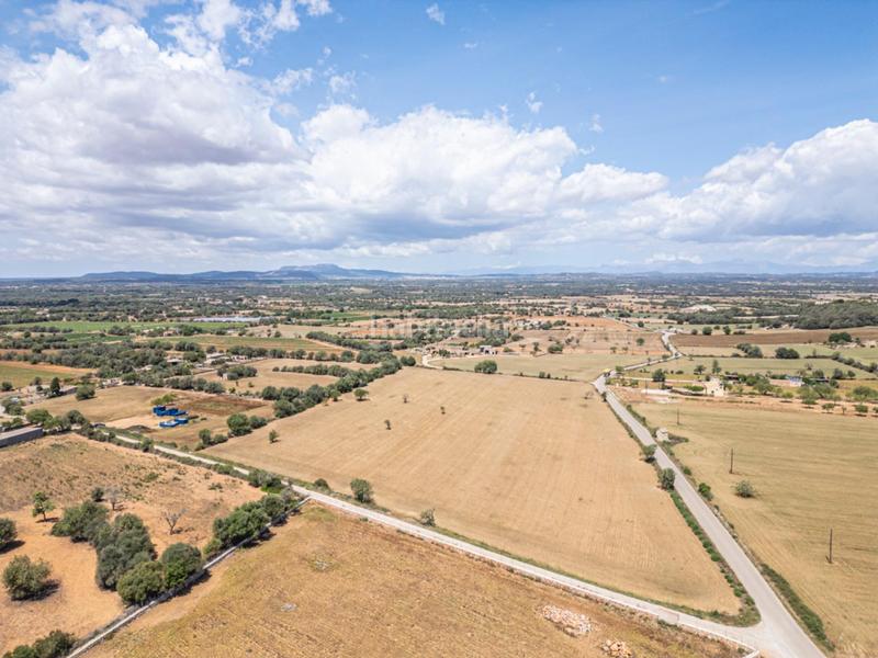 Foto bf316090-560c-49b0-b68f-a02b100654dc. Rural plot in Felanitx poble Felanitx