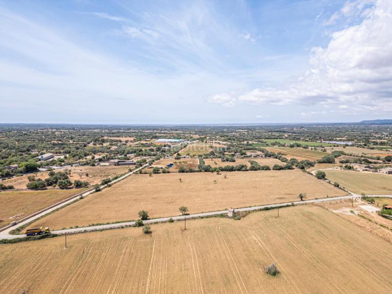 Foto cbcfae30-79bf-4948-b89b-8513d1b1ec09. Rural plot in Felanitx poble Felanitx