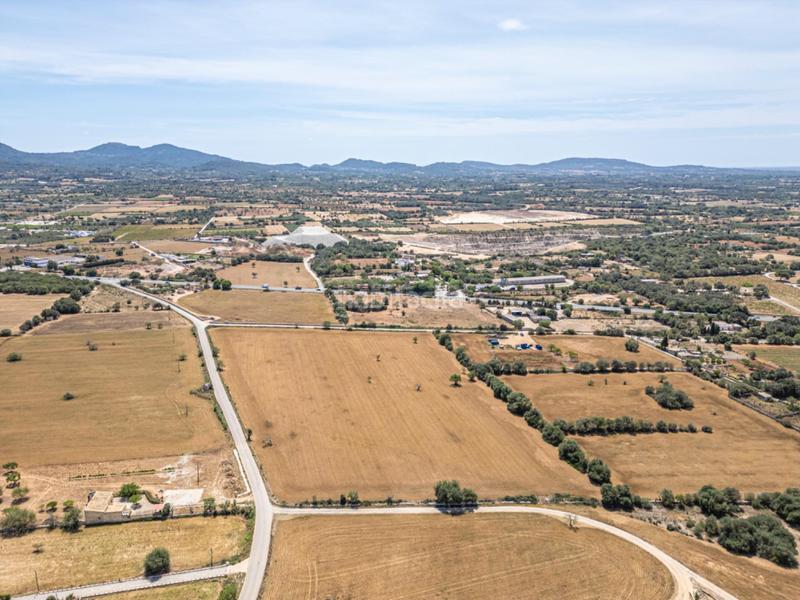 Foto cdf7603c-46db-4dae-9618-4f0a34e922da. Rural plot in Felanitx poble Felanitx