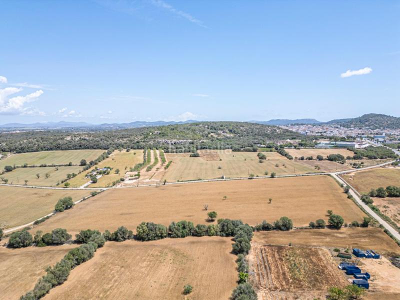 Foto d28f83b8-dd46-4805-8624-3bf33a16b0e4. Rural plot in Felanitx poble Felanitx