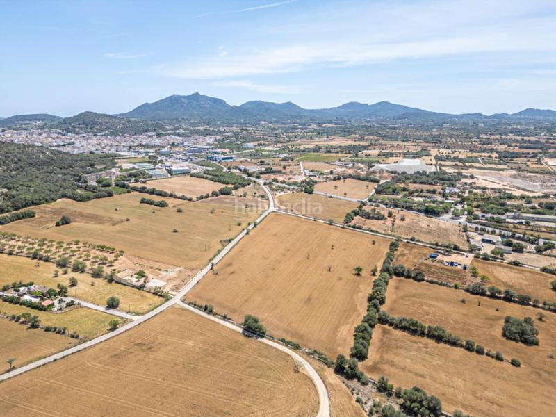 Foto f2d8e9f9-647e-4a70-b08f-7d14fc15b184. Rural plot in Felanitx poble Felanitx