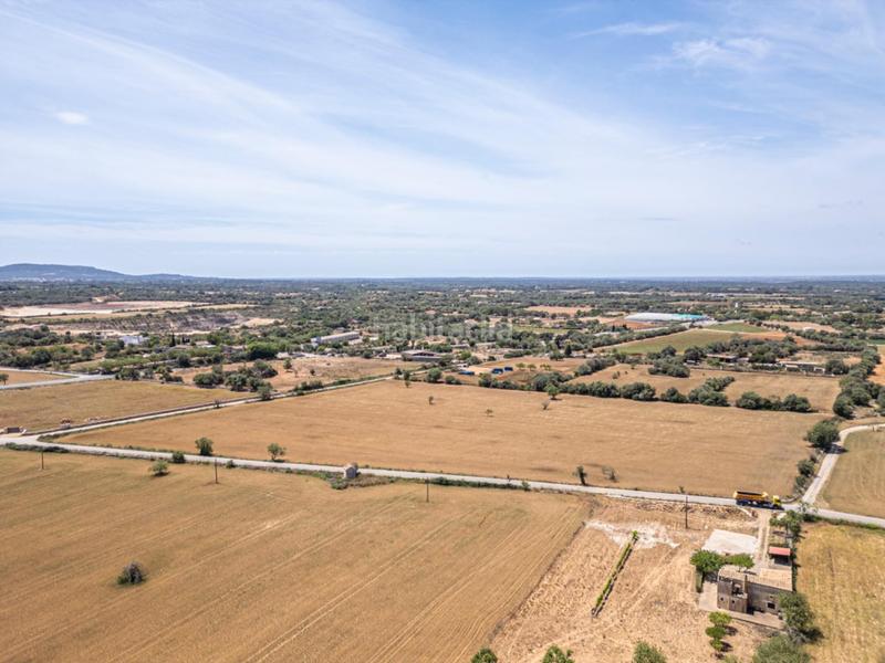 Foto f3f22487-c4e9-4346-b84f-964e6493b806. Rural plot in Felanitx poble Felanitx