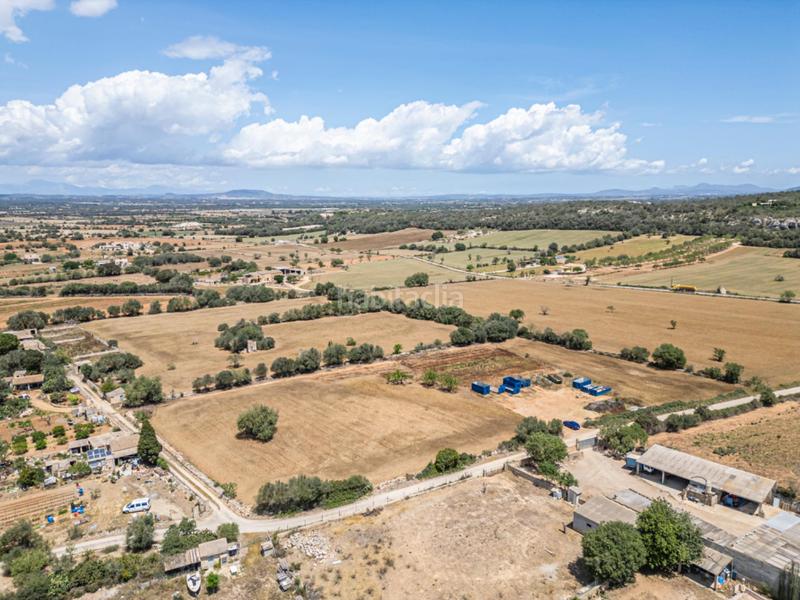 Foto 1679f6d1-4e60-4fd2-be4d-2cfdf8454def. Fondo rustico in Felanitx poble Felanitx