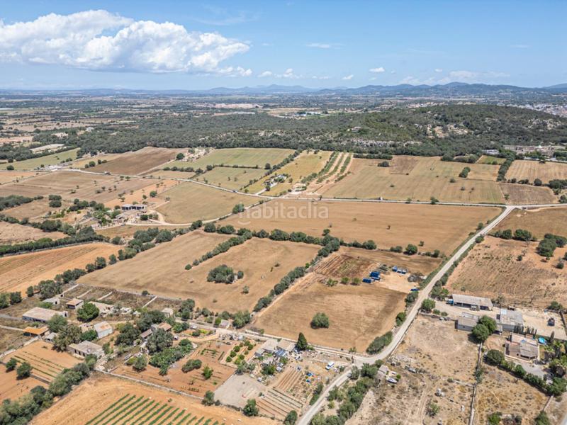 Foto 17078a70-35ad-485a-a5e6-9330915274d6. Fondo rustico in Felanitx poble Felanitx