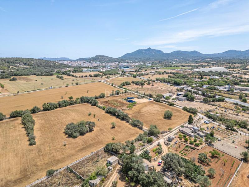 Foto 17f39856-b8b0-40a8-8691-92abfea7edc6. Fondo rustico in Felanitx poble Felanitx