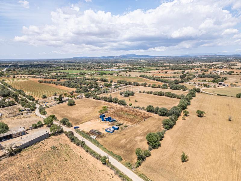 Foto 2dbb065a-b715-4da2-b539-8945800a3cae. Fondo rustico in Felanitx poble Felanitx