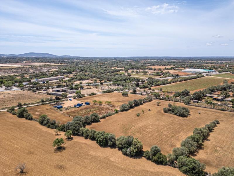 Foto 588720de-4ec3-4b0d-92d8-1b947b44ee9b. Fondo rustico in Felanitx poble Felanitx