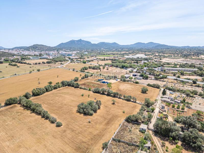 Foto 778a1ae1-5d1a-4727-a764-647f8c1aa757. Fondo rustico in Felanitx poble Felanitx