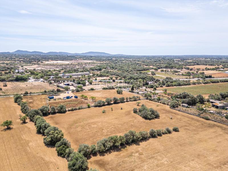 Foto 77a56ba0-eef4-469b-a661-683f67e7635b. Fondo rustico in Felanitx poble Felanitx