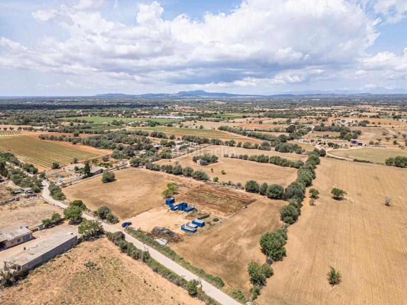 Foto 94dd65b0-dbfe-4023-958c-dbb6a85c07ce. Fondo rustico in Felanitx poble Felanitx