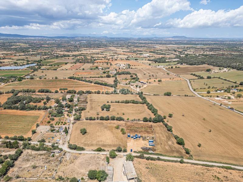 Foto 9f39cafa-d724-42f9-8542-e3df9cc16c06. Fondo rustico in Felanitx poble Felanitx