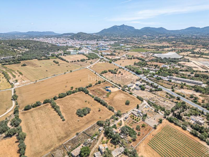 Foto a6abb3ac-d4b3-408d-9c04-54c574f9c5be. Fondo rustico in Felanitx poble Felanitx