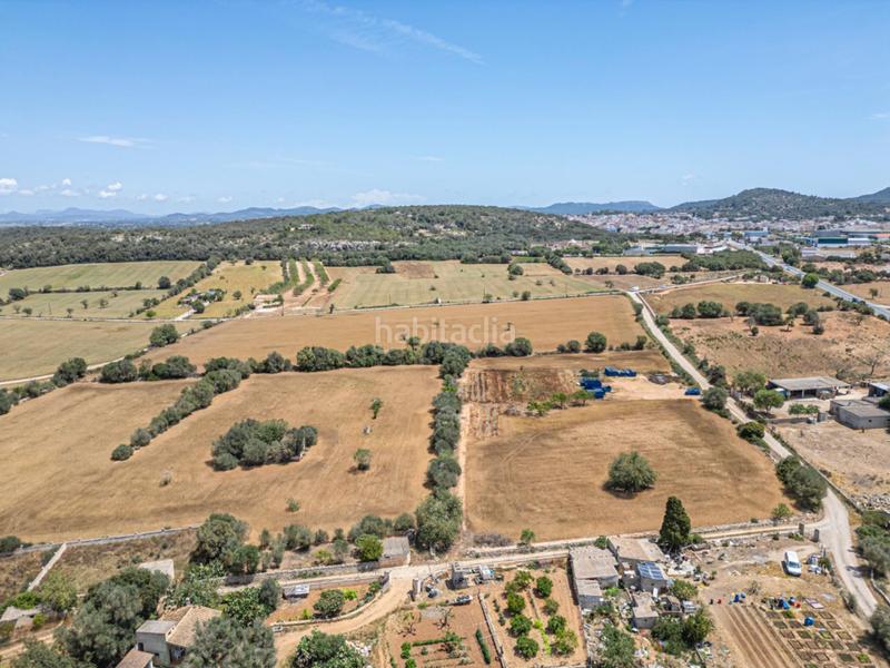 Foto a8c31fe4-b78b-44e7-8ea5-be8528105fe3. Fondo rustico in Felanitx poble Felanitx