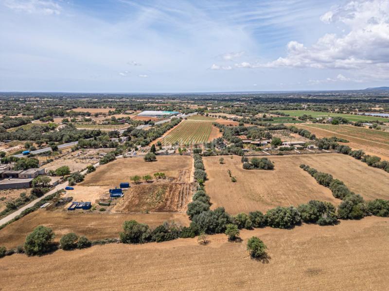 Foto b29be23a-7fd6-4676-a1fe-4bb6e2fe5be6. Fondo rustico in Felanitx poble Felanitx