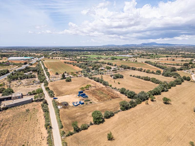 Foto b3bb2d37-eacc-4b95-9b4b-df110a7cd000. Fondo rustico in Felanitx poble Felanitx