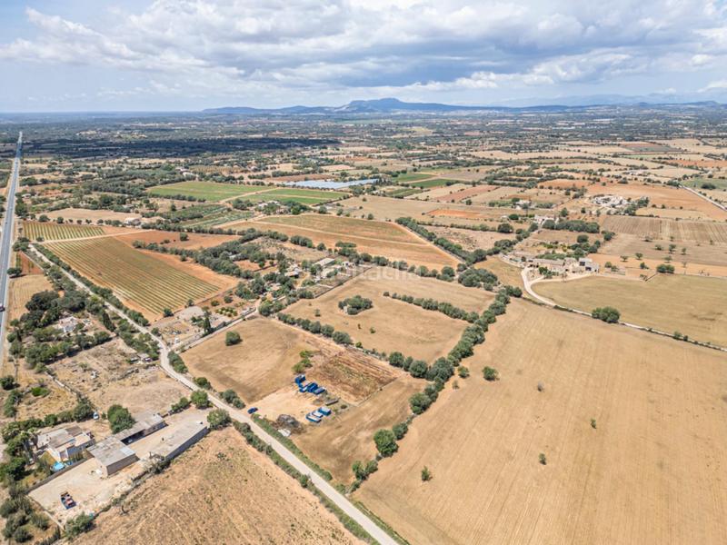 Foto b6d0c62e-b268-48a9-a5e9-bfc7506ab328. Fondo rustico in Felanitx poble Felanitx