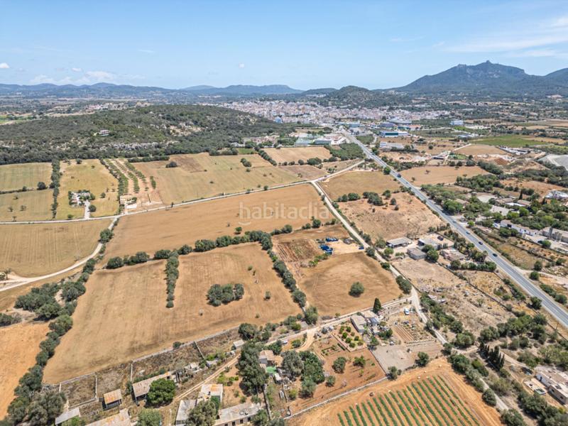 Foto d0e4a548-ae88-4baa-8313-dcbc84a8bc5c. Fondo rustico in Felanitx poble Felanitx