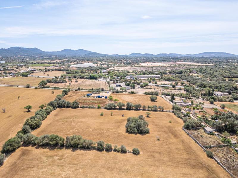 Foto e226261b-5b6c-463e-9a09-9ed971e9d33e. Fondo rustico in Felanitx poble Felanitx