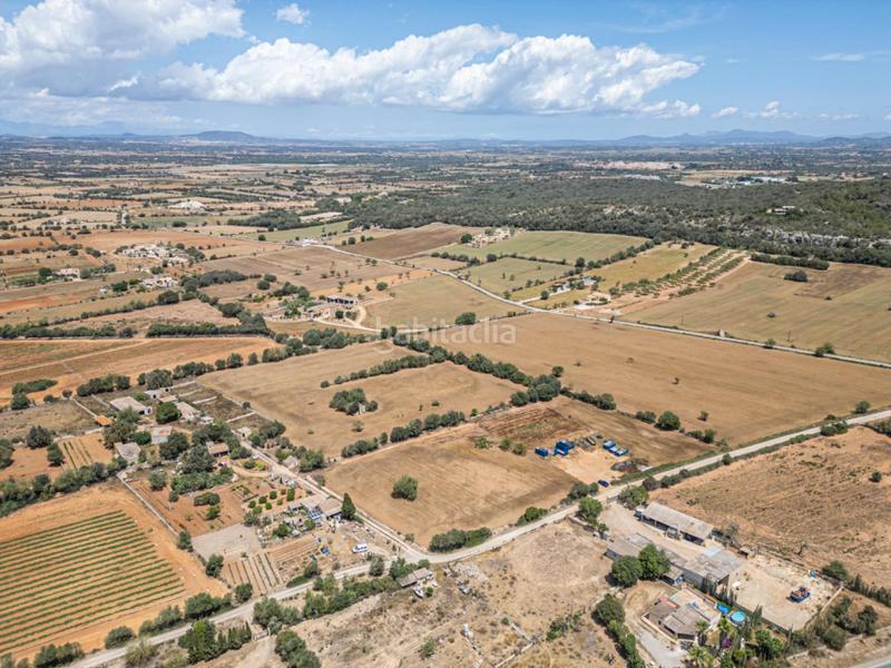 Foto e23f302c-4fea-42cf-9719-bf9dc33c34c2. Fondo rustico in Felanitx poble Felanitx