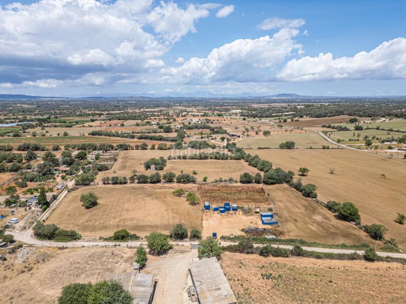 Foto f284813a-d7b4-4867-8d17-23279aadcddc. Fondo rustico in Felanitx poble Felanitx