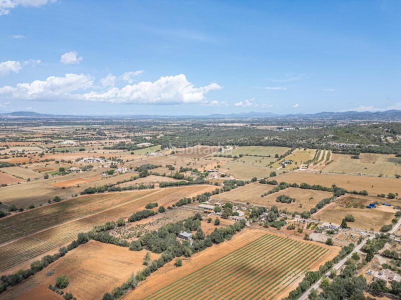 Foto a33f9f53-7b93-48ad-bcea-ebf40ac0fd8c. Fondo rustico in Felanitx poble Felanitx