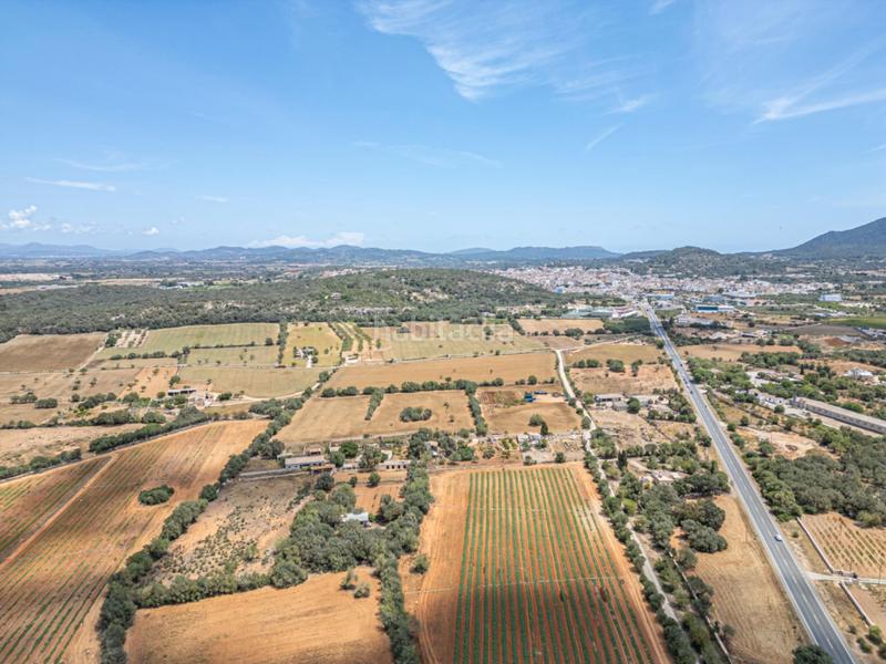 Foto a6639e4c-bcfc-46e1-965e-99d6d8e02fc8. Fondo rustico in Felanitx poble Felanitx