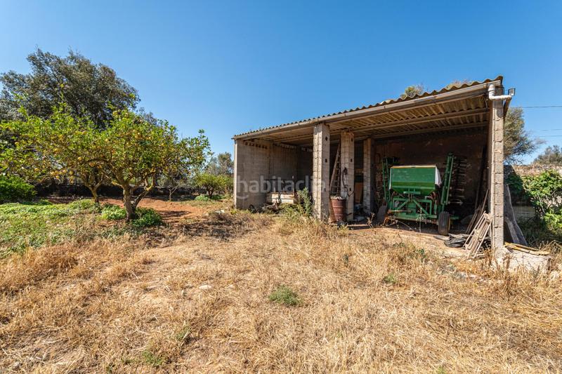 Foto b2821e8e-2325-48c7-8c40-86e6a96022ea. Fondo rustico in Felanitx poble Felanitx