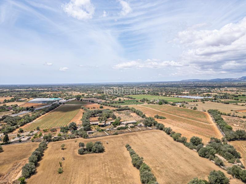 Foto f48fb47e-3a58-4c2b-8818-59790bfc96c4. Fondo rustico in Felanitx poble Felanitx