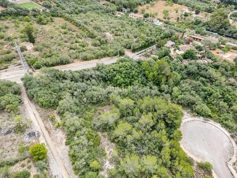 Foto 02d03122-1121-490b-ab2a-fba815a265a6. Terreny residencial a Manacor centre Manacor