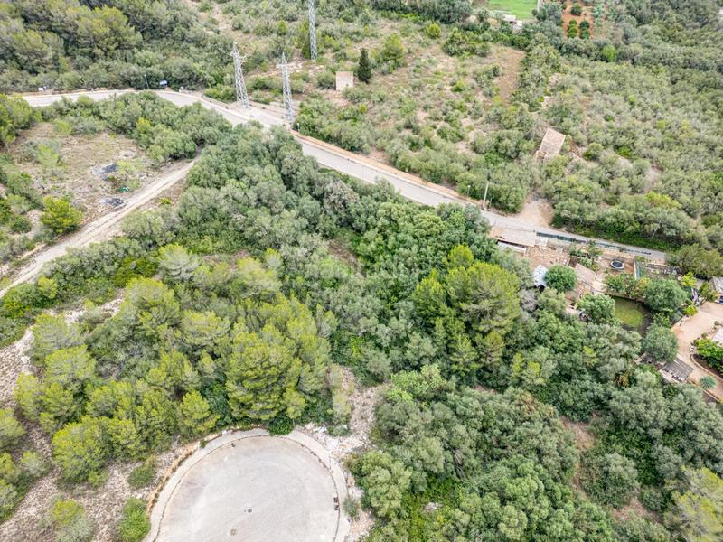 Foto 567365d1-5c0d-41e2-ae71-0964bbe713cf. Terreny residencial a Manacor centre Manacor