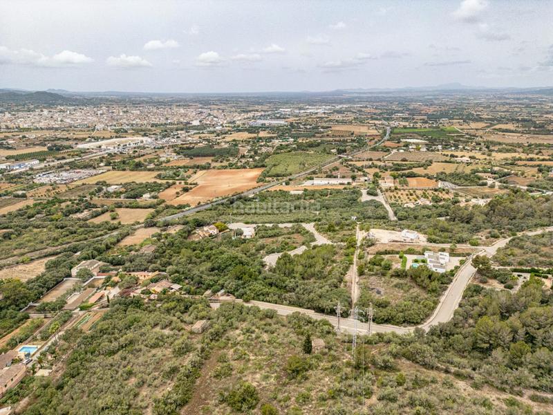 Foto b173de36-090c-4777-901f-e7f88dc8f8d6. Terreny residencial a Manacor centre Manacor