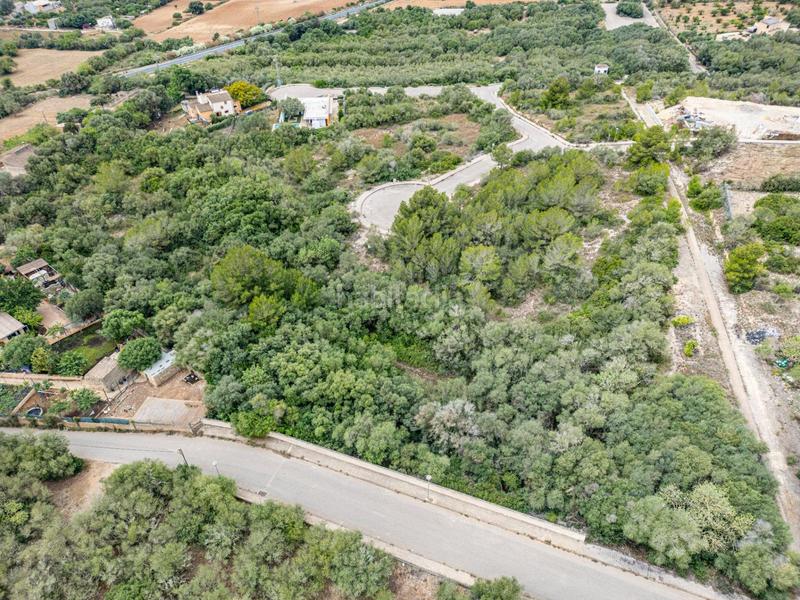 Foto b6d75a82-ea41-40eb-a297-b62b6446baa6. Terreny residencial a Manacor centre Manacor