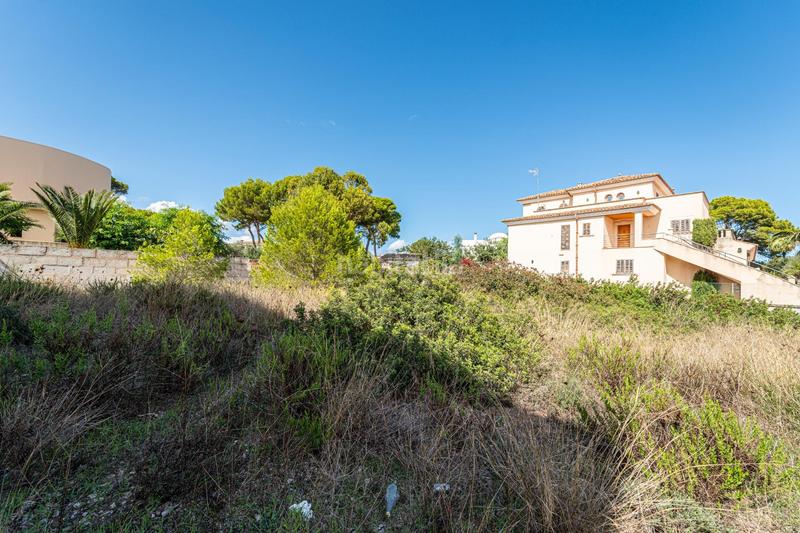 Foto 2fda34a3-e6cd-4e72-af9b-40935de9ac82. Terrain résidentiel dans Can Picafort Santa Margalida