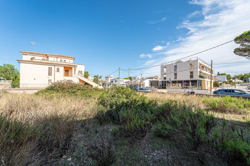 Foto 924bbab3-ec54-4f3b-abcd-8c9d465ab7ee. Terrain résidentiel dans Can Picafort Santa Margalida