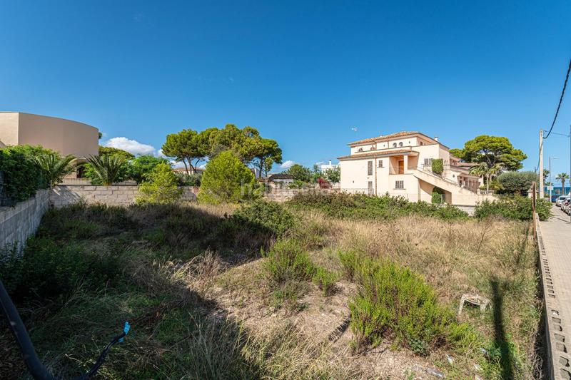 Foto e4478352-dd85-48ea-830a-947cccb6399d. Terrain résidentiel dans Can Picafort Santa Margalida