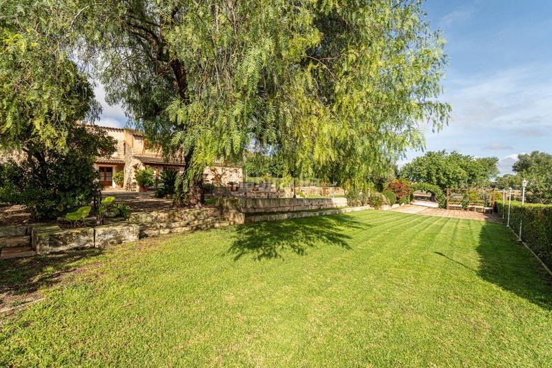 Foto 12b5ba0a-aeea-4380-ace1-43d191110c87. Bauernhof mit kamin parking pool in Petra