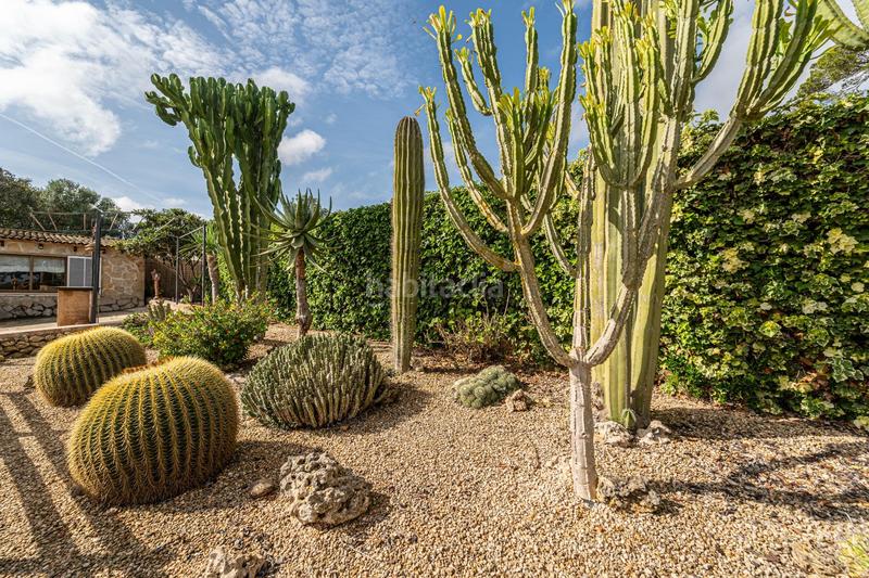 Foto 2d0dbdf1-116f-4b46-83a4-0aa70c2da0e5. Bauernhof mit kamin parking pool in Petra