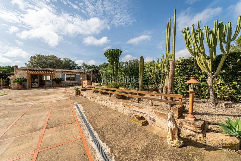 Foto 2dfb6a47-1681-44af-afb2-7615ad4a0625. Bauernhof mit kamin parking pool in Petra