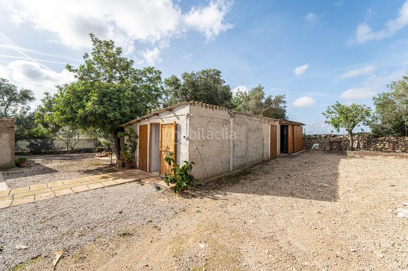 Foto 6427706e-d1a2-405a-8807-03125543001e. Bauernhof mit kamin parking pool in Petra