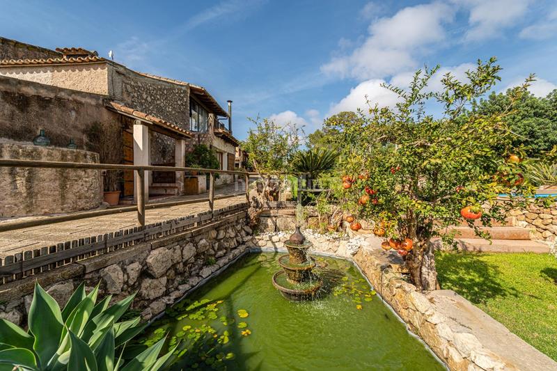 Foto a1425235-dd4a-48a5-a4bb-05bd1c8ba10b. Bauernhof mit kamin parking pool in Petra