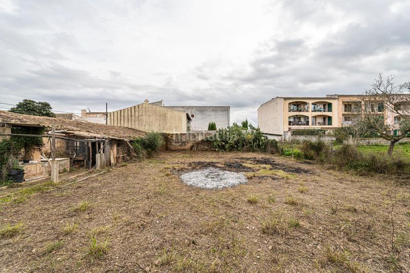 Foto 3cbde4e3-3f0f-4d28-9a98-cb0f45d71465. Propriété dans Porreres