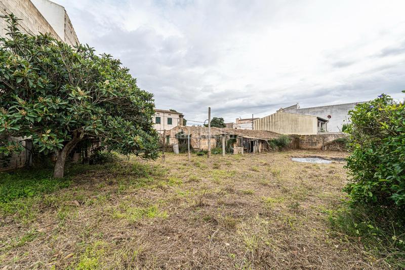 Foto adaaadb5-fdbe-4377-a6da-66bb09aee3fe. Propriété dans Porreres