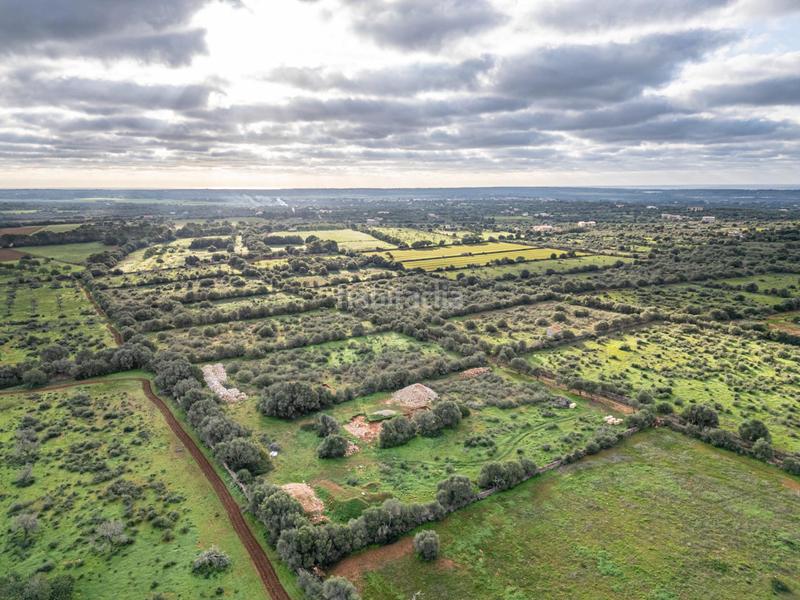 Foto 0e4b6f44-3616-46f4-a715-31954d363ffd. Chalet con parcheggio piscina in Campos