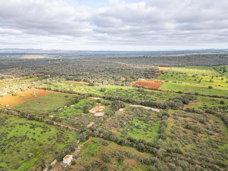 Foto 120f3019-cfe8-43c1-b95a-1a3a5cb16c5e. Chalet con parcheggio piscina in Campos