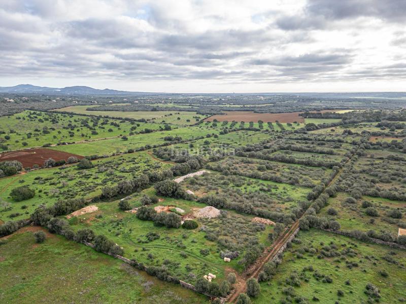 Foto 1392ef03-6fa3-4e3b-8e2a-56f77cfda903. Chalet con parcheggio piscina in Campos